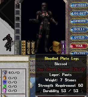 File:Equipped Bloodied Plate Armor Bloodied Femaile Platemail Suit.PNG