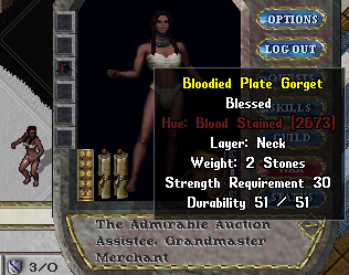 File:Equipped Bloodied Plate Armor Bloodied Plate Gorget.PNG
