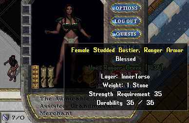 File:Equipped Female Studded Bustier Ranger Armor.PNG