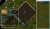 13x14 Yew.jpg 13x14 Yew.jpg