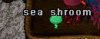 barnymushroom.JPG