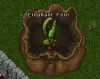 ele fern.PNG