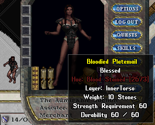 File:Equipped Bloodied Plate Armor Bloodied Female Platemail.PNG