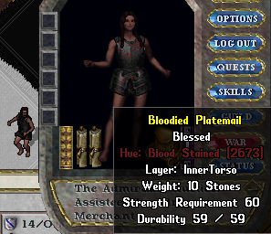 File:Equipped Bloodied Plate Armor Bloodied Platemail.PNG