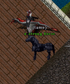 File:A strong horse.PNG