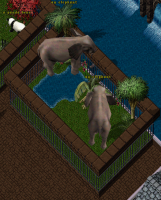 This is the Community Island Exotic Zoo where the Elephants can be found!