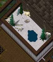 This is the Community Island Exotic Zoo where the Polar Bears can be found!
