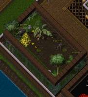 This is the Community Island Exotic Zoo where the Gorillas can be found!